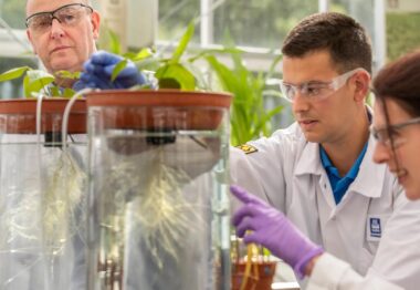 Yara construirá una nueva planta mundial de fertilizantes especiales y bioestimulantes