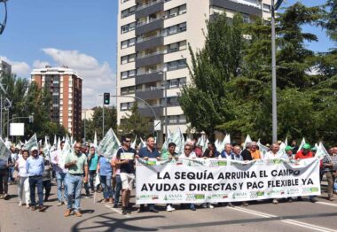 Agricultores y ganaderos de Castilla y León se manifiestan frente a Consejería y Gobierno para exigir ayudas urgentes por la sequía