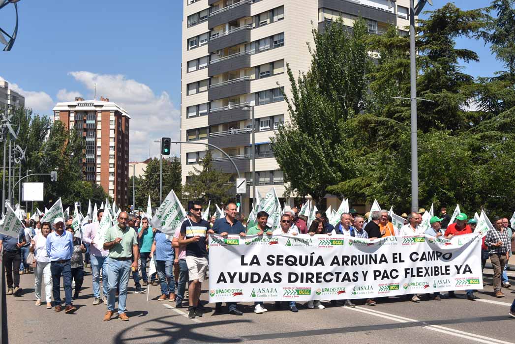 Agricultores y ganaderos de Castilla y León se manifiestan frente a Consejería y Gobierno para exigir ayudas urgentes por la sequía