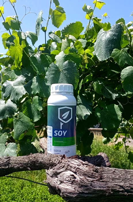 El Grupo Soaga lanza SOY un nuevo biofungicida contra mildiu en viñedo a base de lecitina de soja