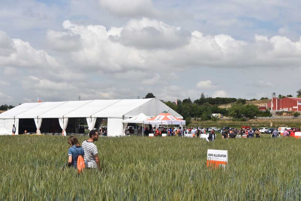 Una imagen de la Jornada celebrada en el Campo experimental de Simancas