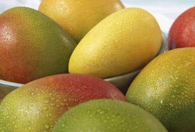 Málaga se convertirá el próximo septiembre en la capital mundial del mango