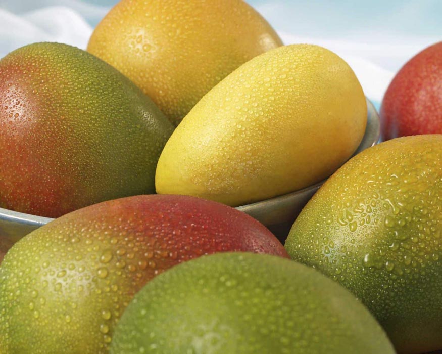 Málaga se convertirá el próximo septiembre en la capital mundial del mango