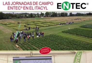 Ya esta disponible nuestro número 81 de Empresa Agraria