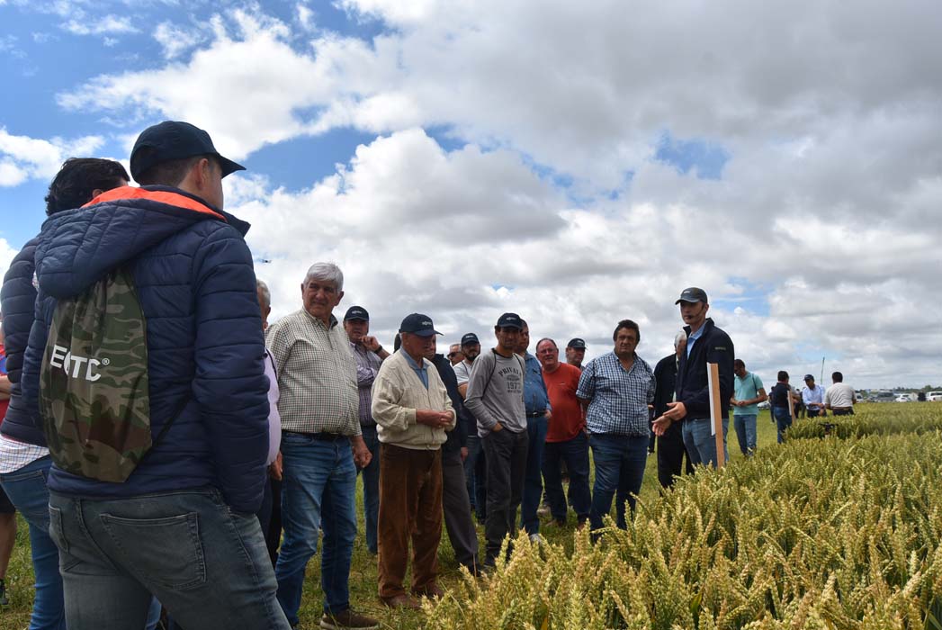 Los agricultores vuelven a las Jornadas de Campo ENTEC® en el ITACyL