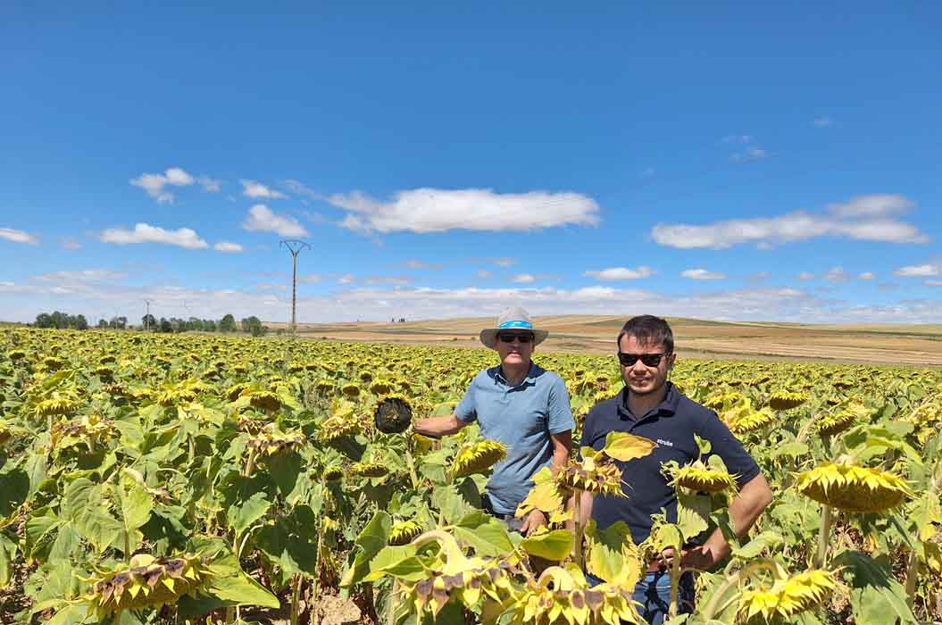 Jesús Riesco y Antonio J. Iniesta de Strube en la parcela de Arpegio de Miguel Vigo de Becerril de Campos (Palencia)