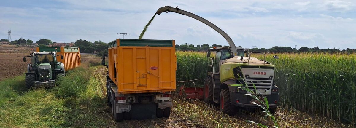 La Jaguar 950 de CLAAS demuestra lo que es capaz de hacer en Villanueva de Duero