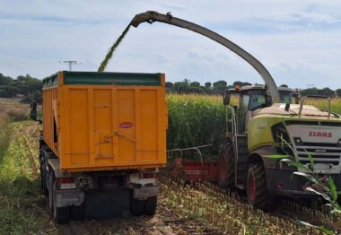 La Jaguar 950 de CLAAS demuestra lo que es capaz de hacer en Villanueva de Duero