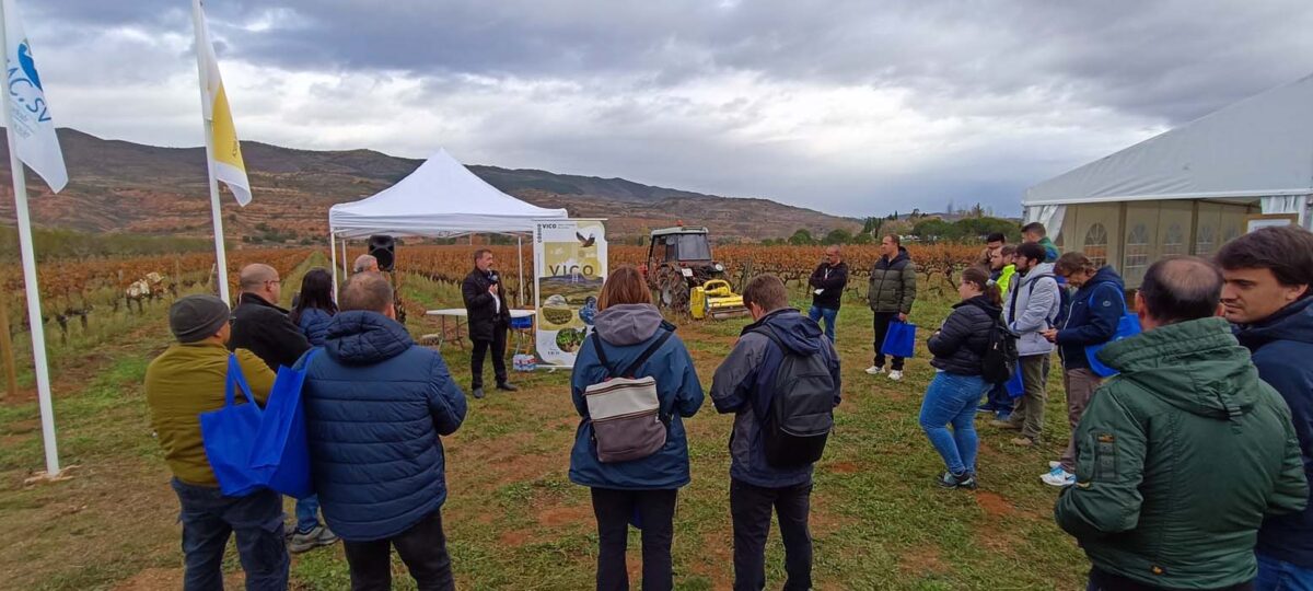 Éxito de la Jornada de Campo “Manejo de cubiertas vegetales en Viñedo” en La Rioja