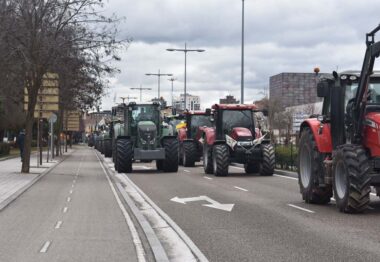 ASAJA Valladolid pide al Ministerio una mayor defensa del sector productivo y que aclare su postura en cuestiones claves para 2024