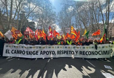 Los agricultores y ganaderos de Castilla y León defienden en Madrid el futuro del campo y de la alimentación Europea