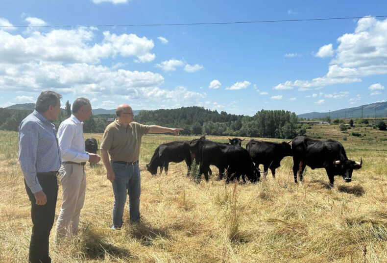 La Junta establece su Centro de Selección y Reproducción Animal como pilar estratégico para la conservación genética