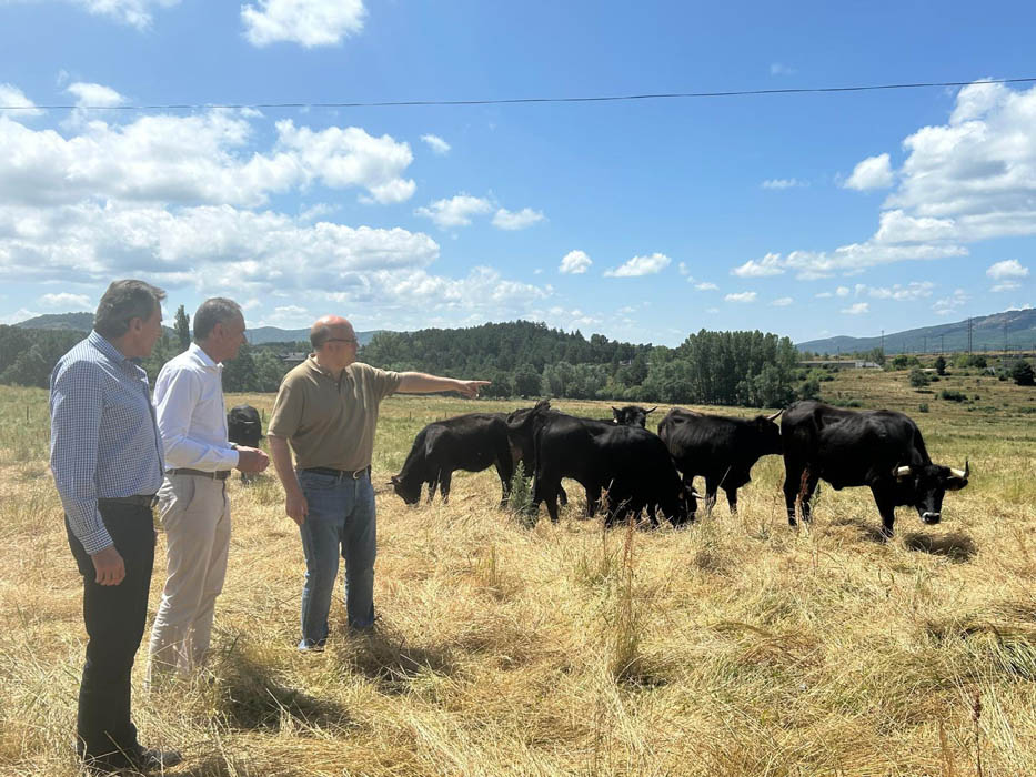 La Junta establece su Centro de Selección y Reproducción Animal como pilar estratégico para la conservación genética