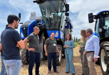 La Junta participa en una docena de proyectos de investigación con 2 millones de euros para favorecer la competitividad del sector vitivinícola