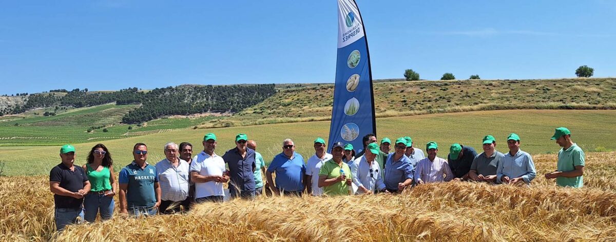 Florimond Desprez presenta sus ensayos de variedades de cereal