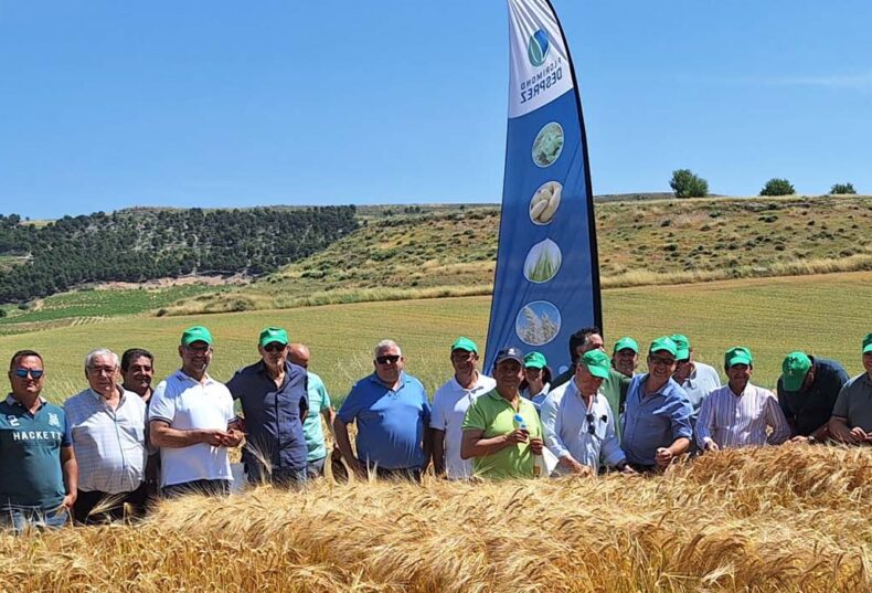 Florimond Desprez presenta sus ensayos de variedades de cereal