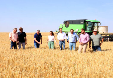La cosecha de cereal en Castilla y León alcanzará los 8 millones de toneladas