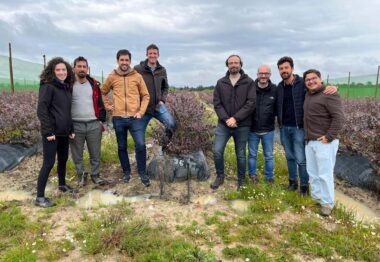 Yara y SanLucar se unen para impulsar la agricultura regenerativa y la descarbonización en el cultivo de arándanos