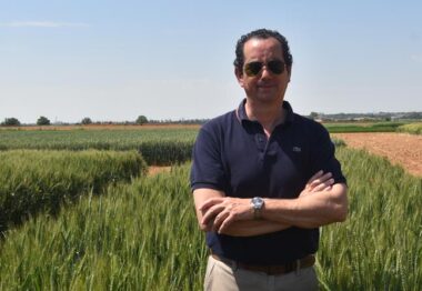 Agricultura de Conservación en Aguilar de Campos de la mano de Rafael Alonso Pérez