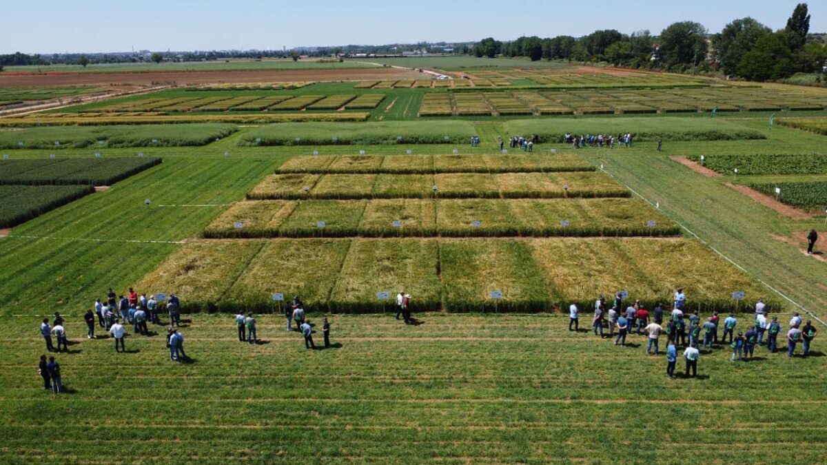 El futuro de los fertilizantes centra las Jornadas de Campo de EuroChem Agro Iberia con el ITACyL
