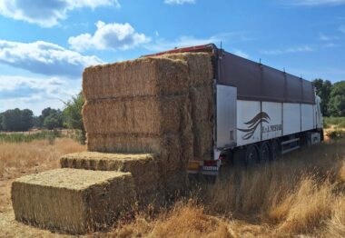 La Junta suministra más de 922000 kilos de alimentos a 74 ganaderías afectadas por los incendios