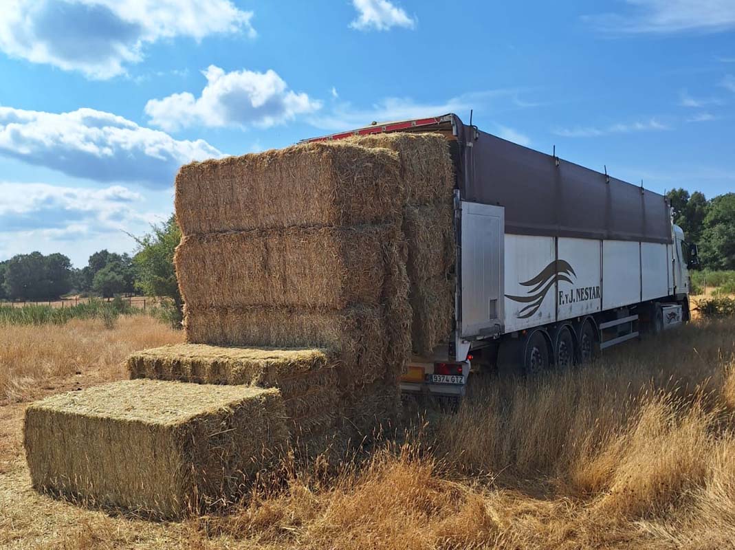 La Junta suministra más de 922000 kilos de alimentos a 74 ganaderías afectadas por los incendios