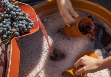 Vino, tradición y cultura: la D.O. Ribera Del Duero celebra la VIII edición de su gran fiesta de la vendimia