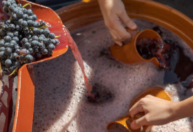 Vino, tradición y cultura: la D.O. Ribera Del Duero celebra la VIII edición de su gran fiesta de la vendimia