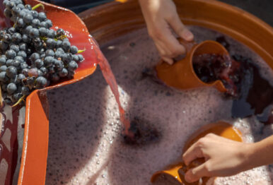 Vino, tradición y cultura: la D.O. Ribera Del Duero celebra la VIII edición de su gran fiesta de la vendimia