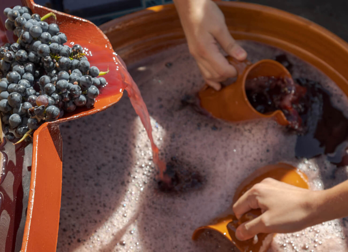 Vino, tradición y cultura: la D.O. Ribera Del Duero celebra la VIII edición de su gran fiesta de la vendimia