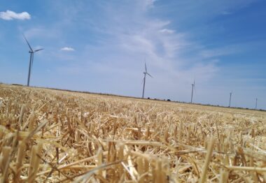 Valladolid acoge la última Jornada de Campo sobre “Agricultura de Conservación en Cultivos Extensivos” del convenio formativo entre el MAPA y la AEACSV
