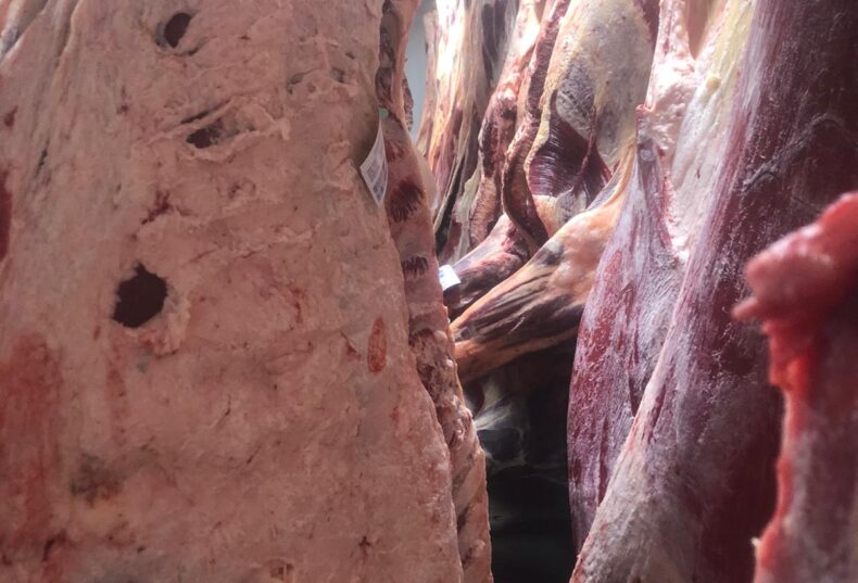 Los mataderos de Castilla y León, en situación crítica, por el descenso de las cabezas de ganado ovino y vacuno