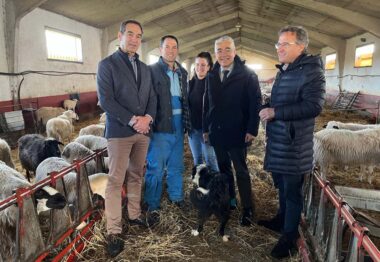 La Junta ha abonado ya anticipos de la PAC al 93% de las solicitudes de agricultores y ganaderos de Castilla y León