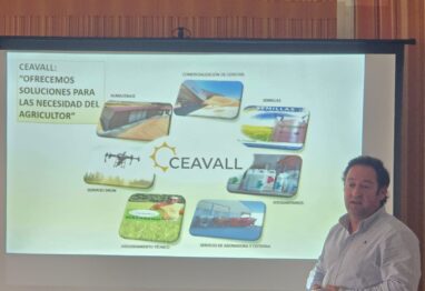 La eficiencia del nitrógeno, una herramienta clave para mejorar la rentabilidad en el campo