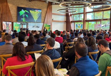 Presentado un nuevo y potente bioestimulante frente al estrés severo