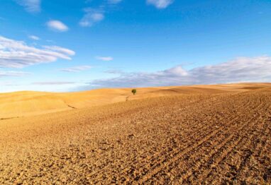 El sector agroalimentario genera el 14,8 % del valor añadido bruto de Castilla y León y supone el 16,2 % del empleo