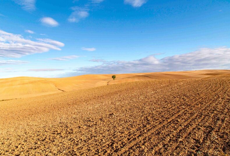 El sector agroalimentario genera el 14,8 % del valor añadido bruto de Castilla y León y supone el 16,2 % del empleo