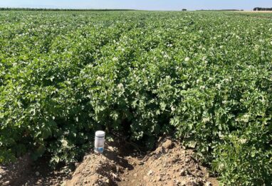 “En Massó seguimos aportando soluciones de confianza”