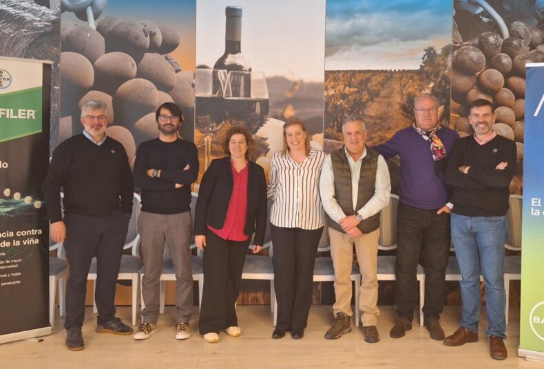 La Importancia del Mildiu en la viña y el papel de Profiler® en su control eficaz