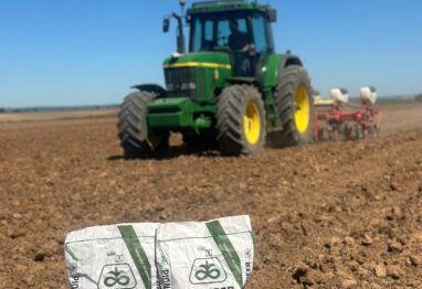 “Sembrar con estrategia: las claves para una campaña rentable de maíz y girasol”