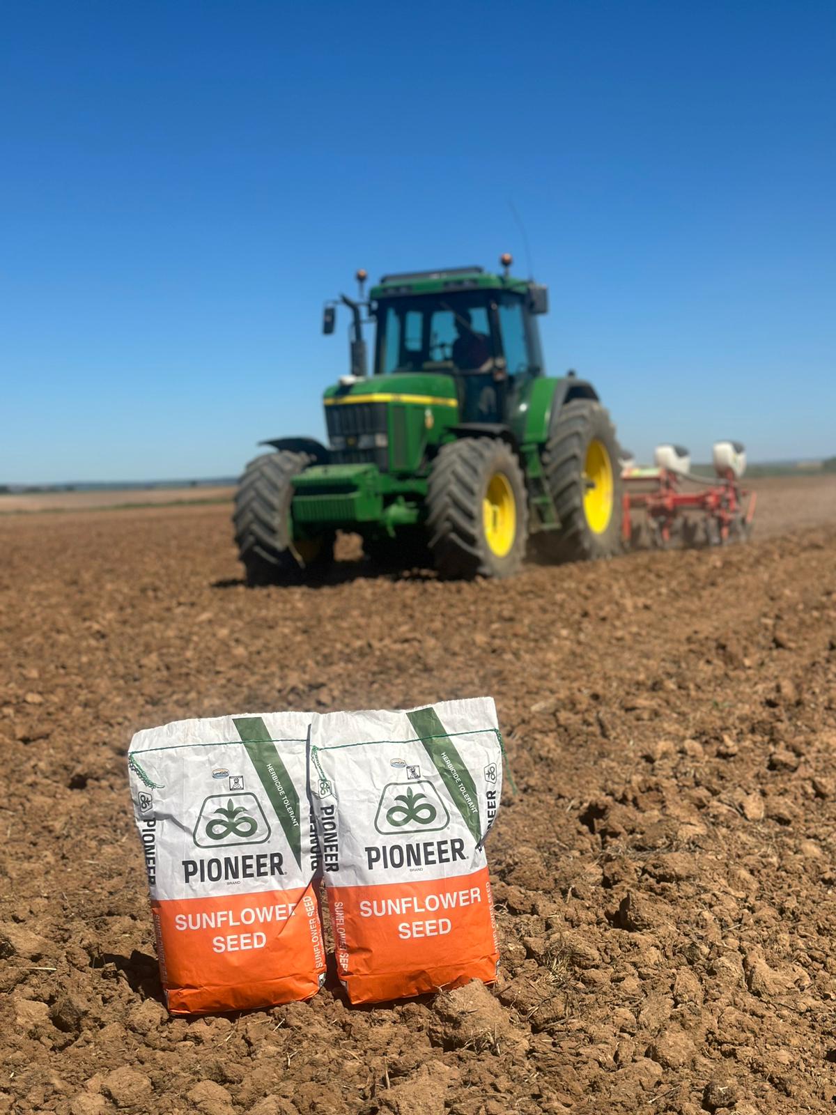 “Sembrar con estrategia: las claves para una campaña rentable de maíz y girasol”