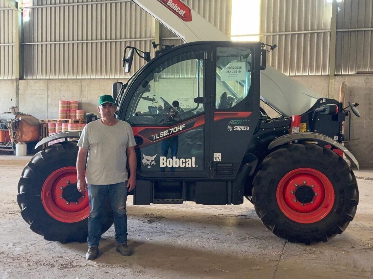 Eficiencia diaria, así trabaja el manipulador telescópico Bobcat TL38.70HF Agri*** en una explotación ovina