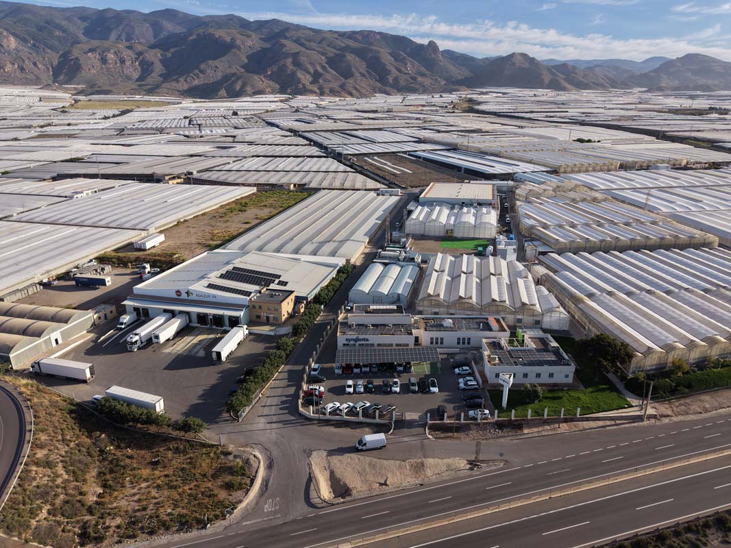 El nuevo Centro Tecnológico de Syngenta reducirá los plazos en mejora genética