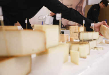 Un jurado formado por 69 expertos internacionales decide en Tordesillas los Premios Cincho 2026 entre 1.300 muestras de queso a concurso